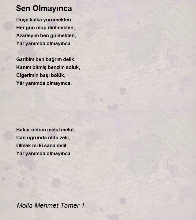 Molla Mehmet Tamer 1