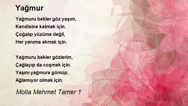 Molla Mehmet Tamer 1