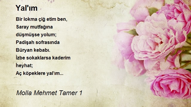 Molla Mehmet Tamer 1