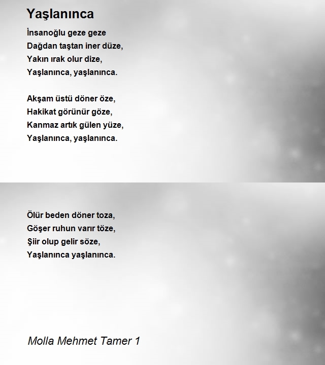 Molla Mehmet Tamer 1