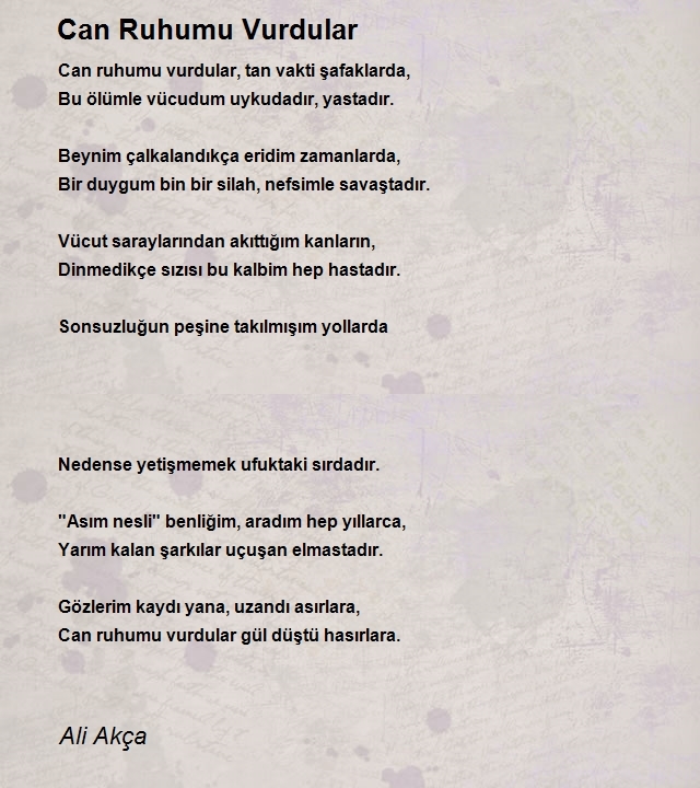 Ali Akça