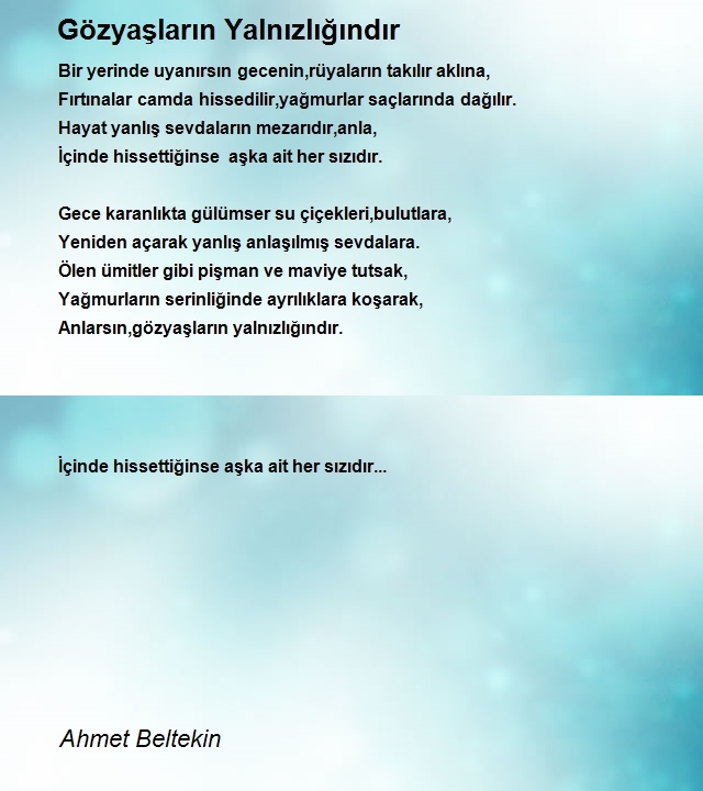 Ahmet Beltekin