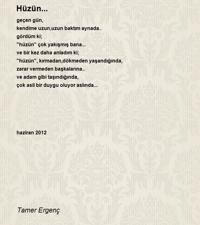 Tamer Ergenç