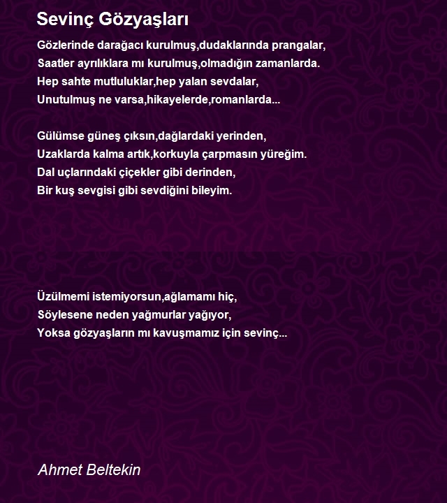 Ahmet Beltekin