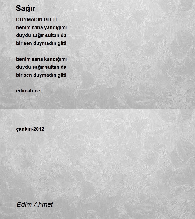 Edim Ahmet