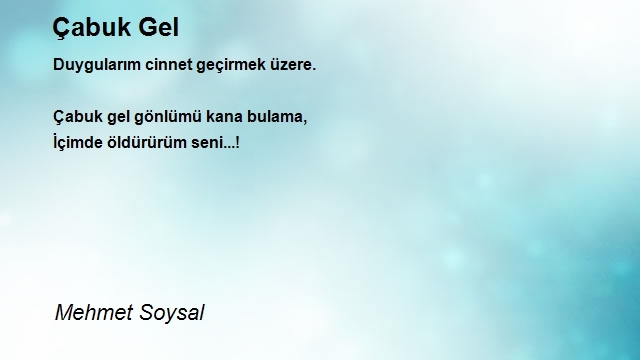 Mehmet Soysal