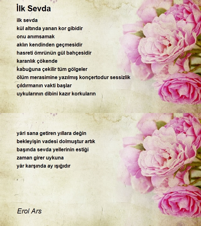 Erol Ars