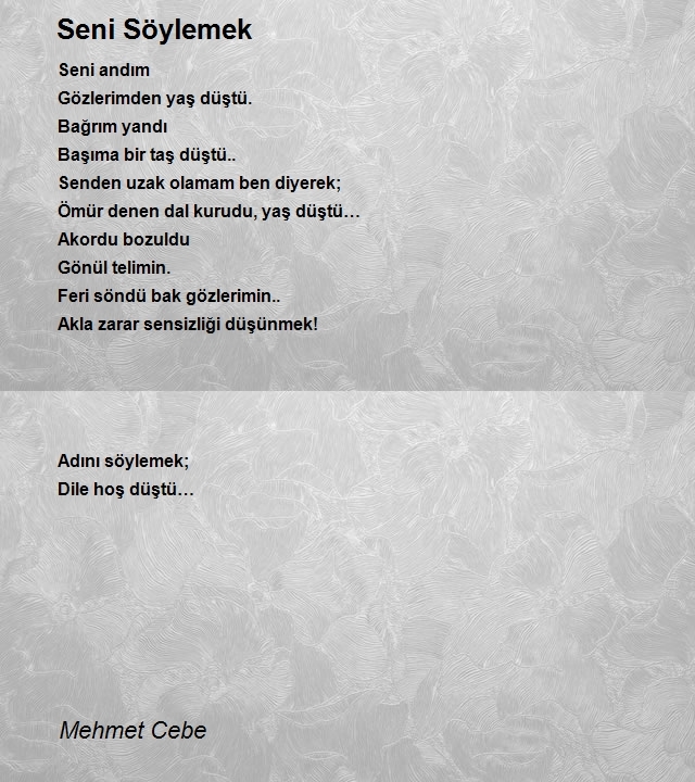 Mehmet Cebe