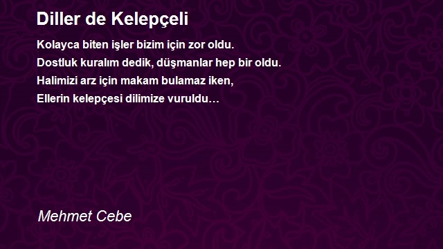 Mehmet Cebe