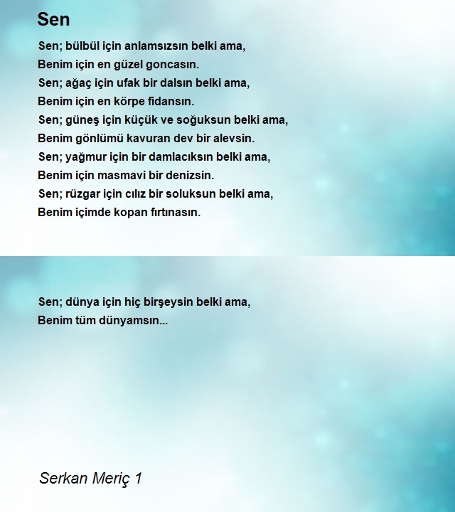 Serkan Meriç 1