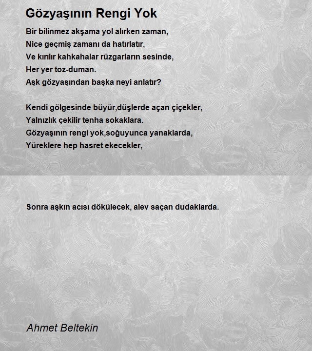 Ahmet Beltekin