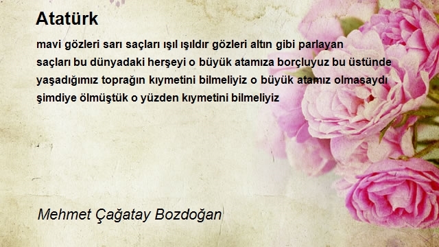 Mehmet Çağatay Bozdoğan