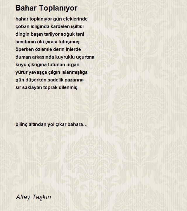 Altay Taşkın