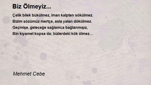 Mehmet Cebe