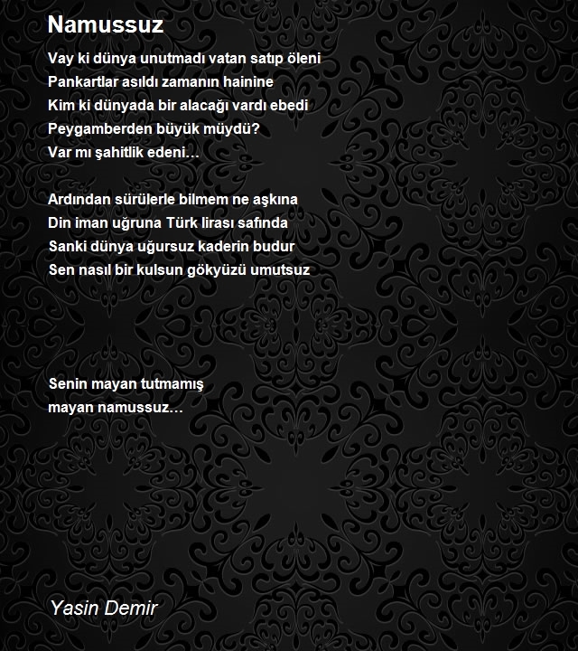 Yasin Demir