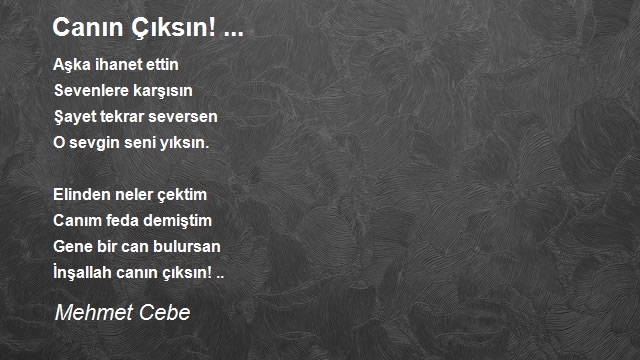 Mehmet Cebe