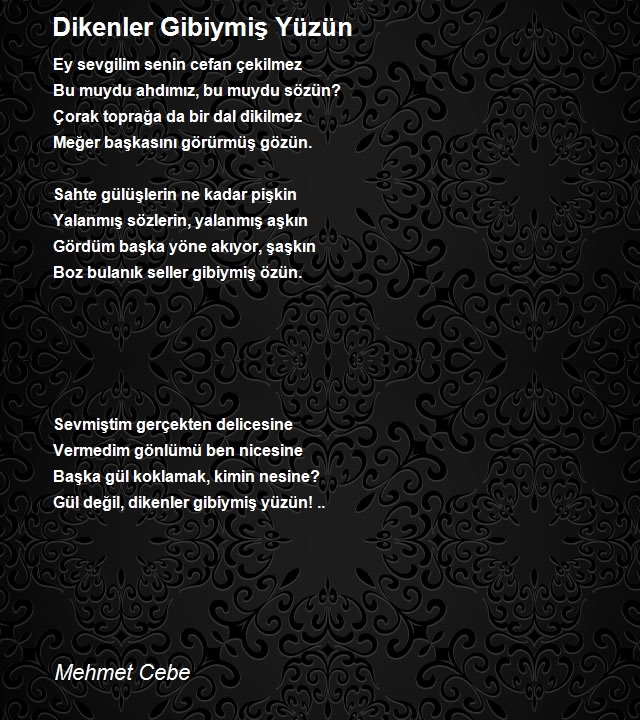 Mehmet Cebe