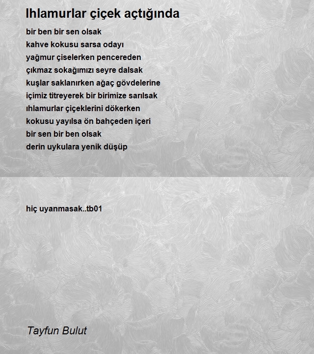 Tayfun Bulut