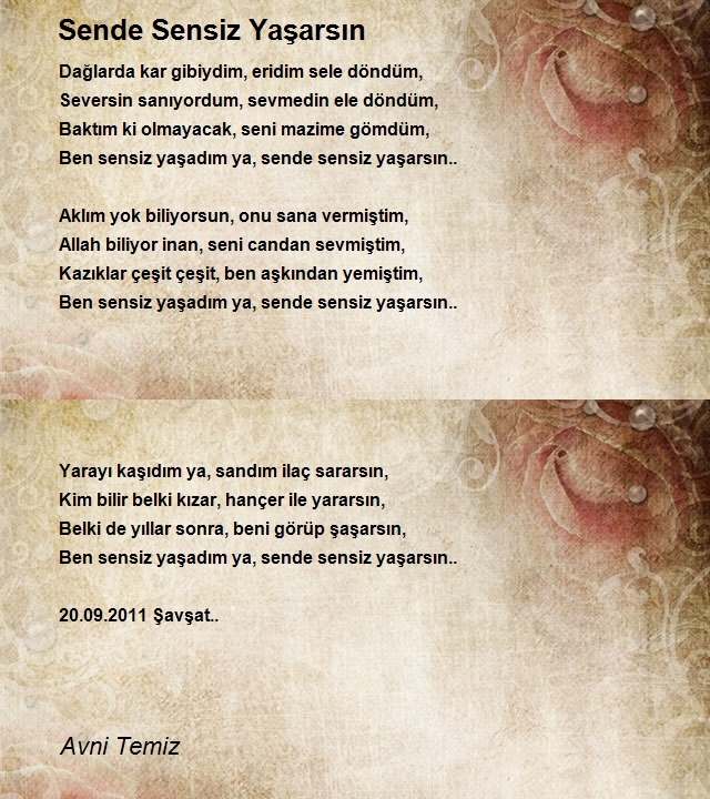 Avni Temiz