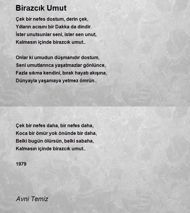 Avni Temiz