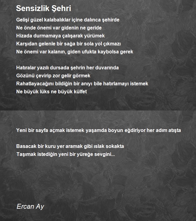 Ercan Ay