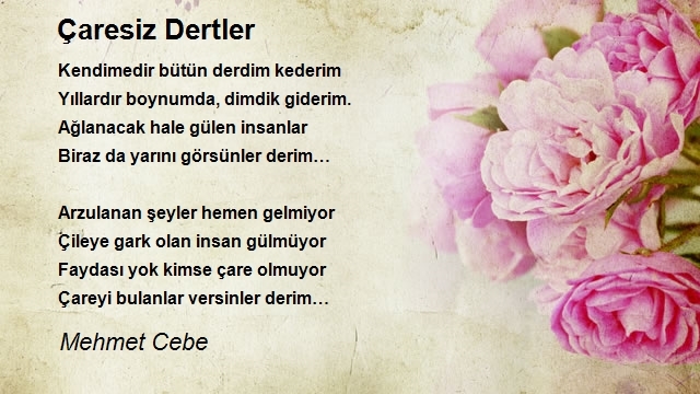 Mehmet Cebe