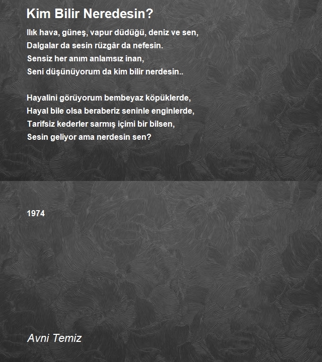 Avni Temiz