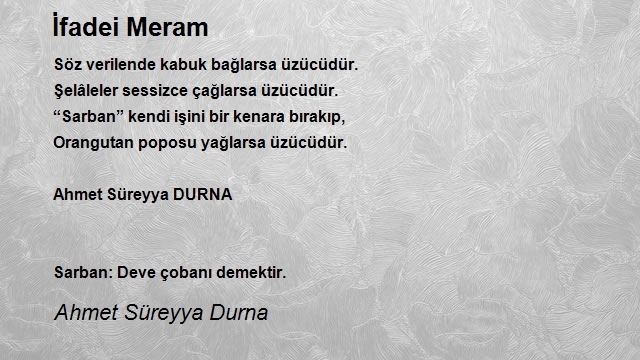 Ahmet Süreyya Durna