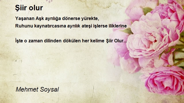 Mehmet Soysal