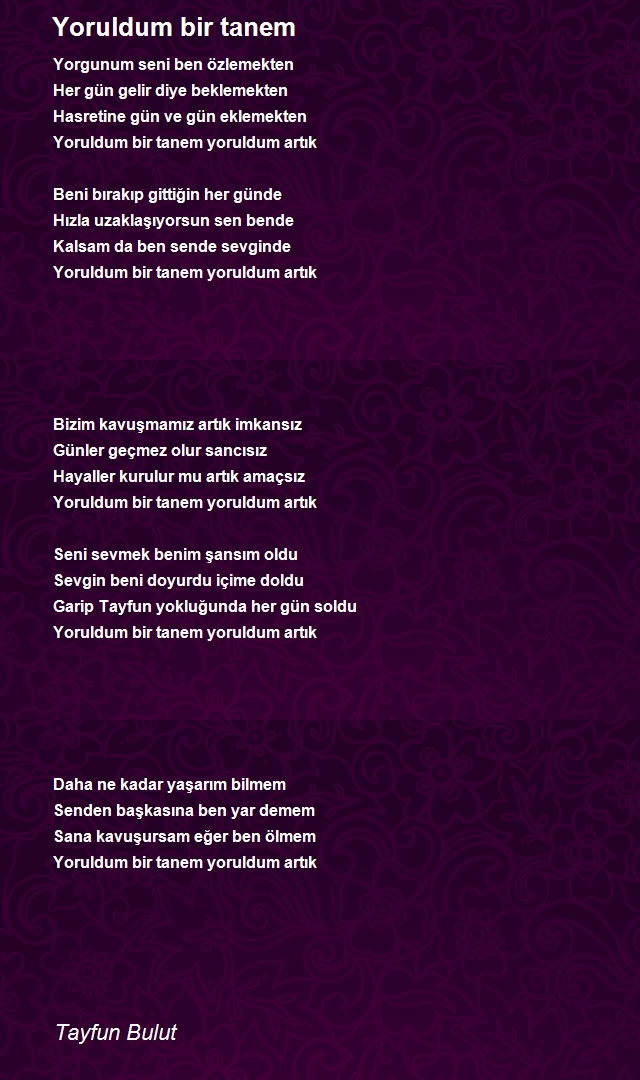 Tayfun Bulut