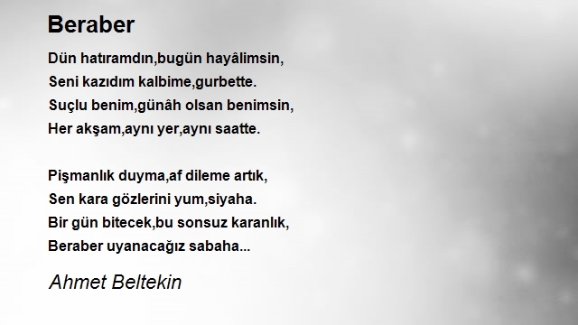 Ahmet Beltekin