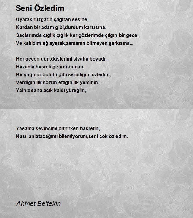 Ahmet Beltekin