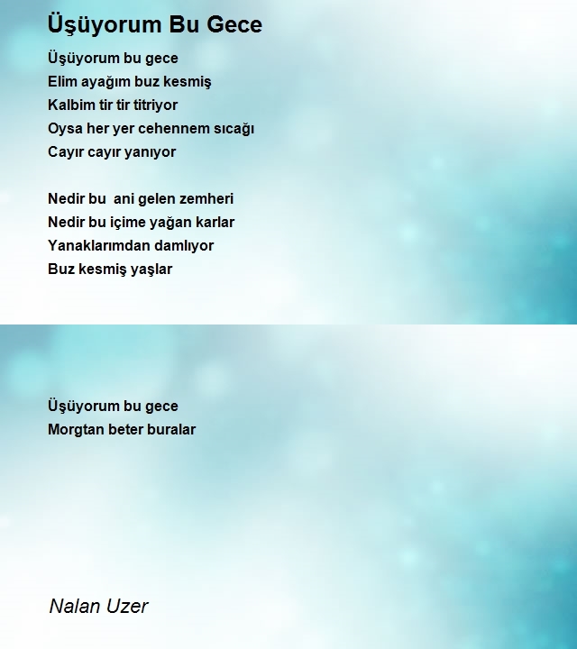 Nalan Uzer