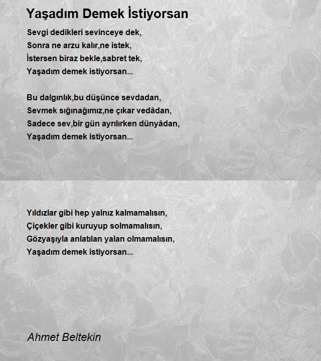 Ahmet Beltekin