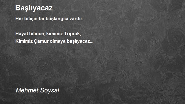 Mehmet Soysal