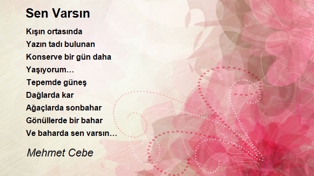 Mehmet Cebe