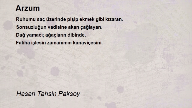 Hasan Tahsin Paksoy