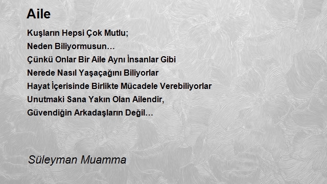 Süleyman Muamma