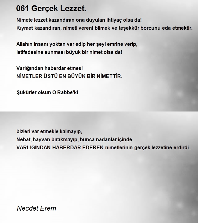 Necdet Erem