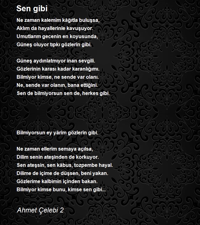 Ahmet Çelebi 2