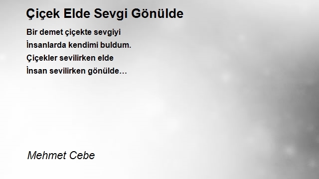 Mehmet Cebe