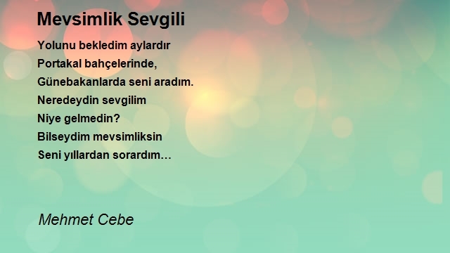 Mehmet Cebe