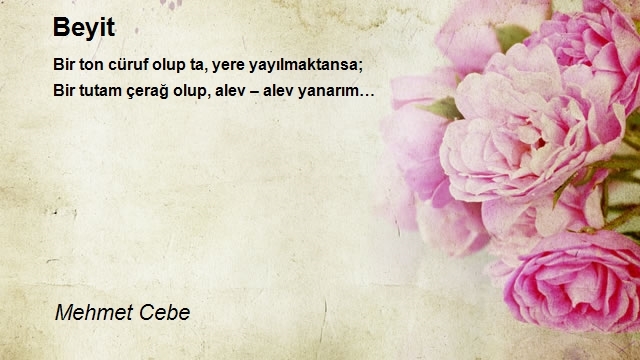 Mehmet Cebe