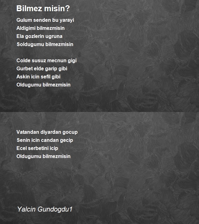 Yalcin Gundogdu1