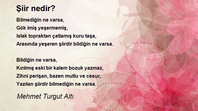 Mehmet Turgut Altı