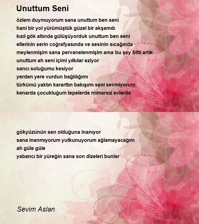 Sevim Aslan