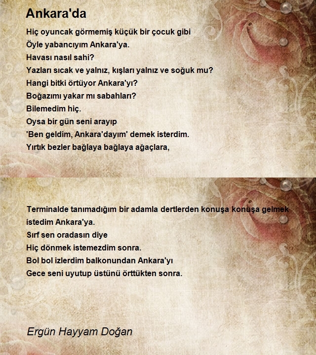 Ergün Hayyam Doğan