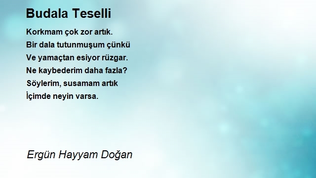 Ergün Hayyam Doğan