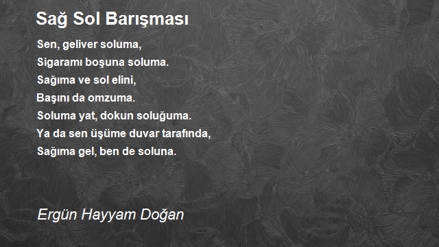 Ergün Hayyam Doğan