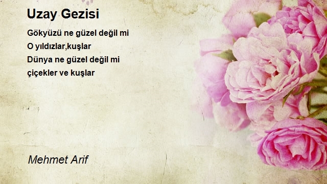 Mehmet Arif